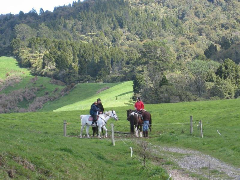 Kaimai Country Lodge Katikati Zewnętrze zdjęcie
