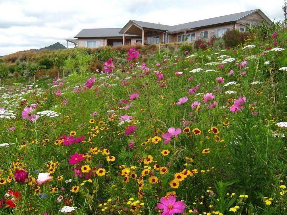 Kaimai Country Lodge Katikati Zewnętrze zdjęcie